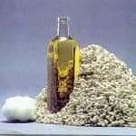 The oil plant at Homs Sugar Company will resume production of cotton oil after a year and a half