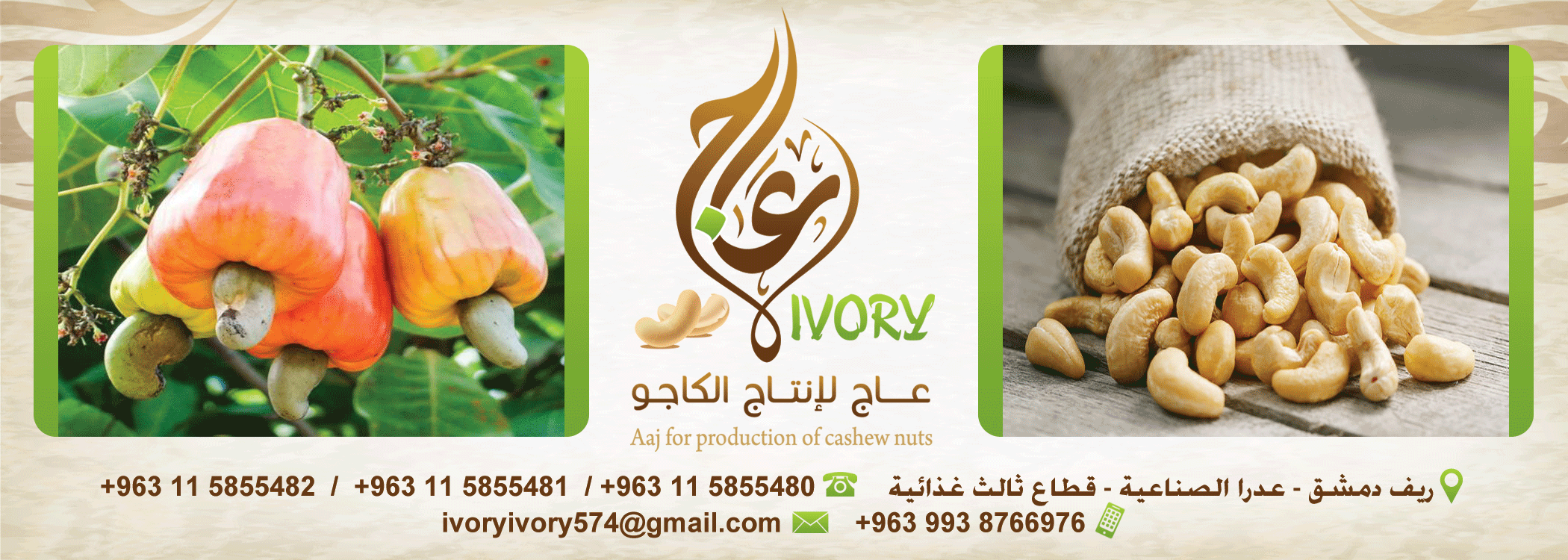 ivory for cashew production